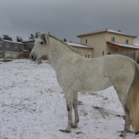 Photo #242154 de Manolita