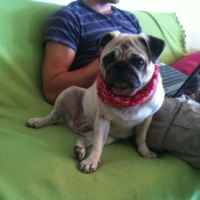 Photo #242298 de Dolce