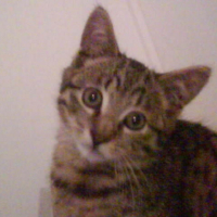 Photo #242361 de Diego
