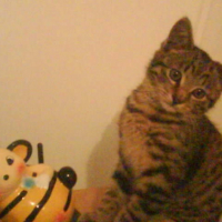 Photo #242362 de Diego