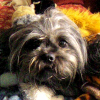 Photo #242435 de Bouba