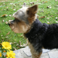 IMGP1487