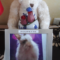 Photo #242544 de Poupette