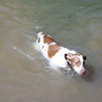 Hummm de l'eau