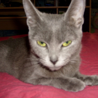 Photo #242715 de Giksy