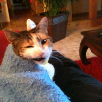 Photo #242783 de Tiiiiii