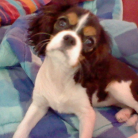 Photo #242792 de Kelly