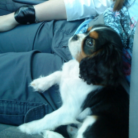 Photo #242797 de Kelly