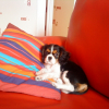 Kelly_007