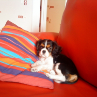 Photo #242799 de Kelly