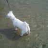 la 1ere fois a la mer