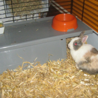 Photo #242981 de Pilou