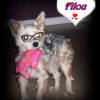 Filou