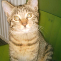 Photo #243306 de Diego