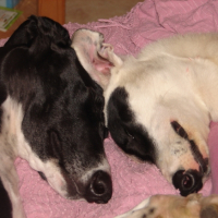 Photo #243355 de Castilla