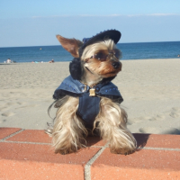 Photo #243471 de Aladin