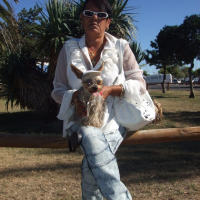 Photo #243473 de Aladin