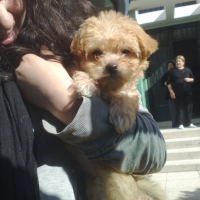 Photo #243493 de Caramelle