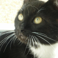 Photo #243503 de Cash