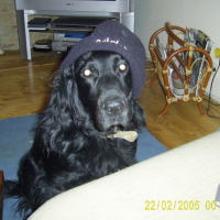 Photo #243563 de Luckas