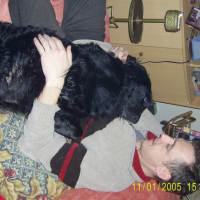 Photo #243564 de Luckas