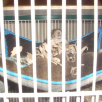 Photo #243626 de Titine