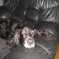 Photo #243661 de Luckas