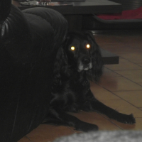 Photo #243662 de Luckas