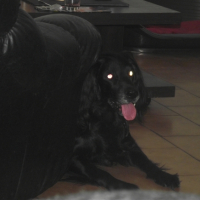 Photo #243663 de Luckas