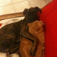 Photo #243708 de Viky