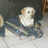 Photo #243714 de Era