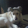 Photo_019