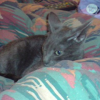Photo #243770 de Sev