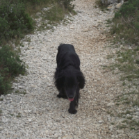 Photo #243822 de Luckas
