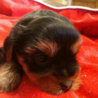 Photo #244001 de Freezby