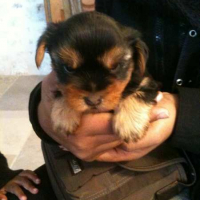 Photo #244002 de Freezby