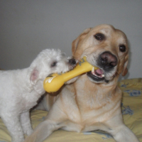 Photo #244076 de Charly