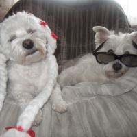 Photo #244077 de Charly