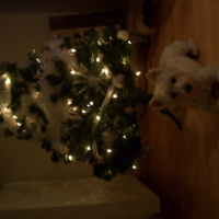Photo #244118 de Channel
