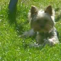 Photo #244244 de Elliot