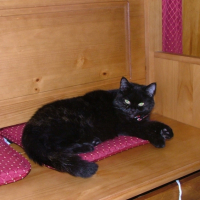 Photo #244354 de Manou