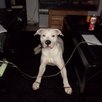 Photo #244369 de Snow