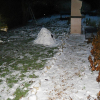 Photo #244397 de Rozbeef