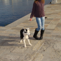 Photo #244481 de Misa