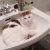 Photo #244509 de Mina