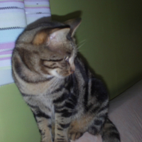 Photo #244516 de Mimi
