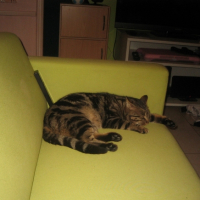 Photo #244519 de Mimi