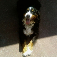 Photo #244609 de Luna