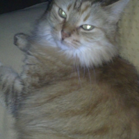 Photo #244748 de Simbad
