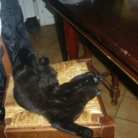 Photo #244757 de Chelby
